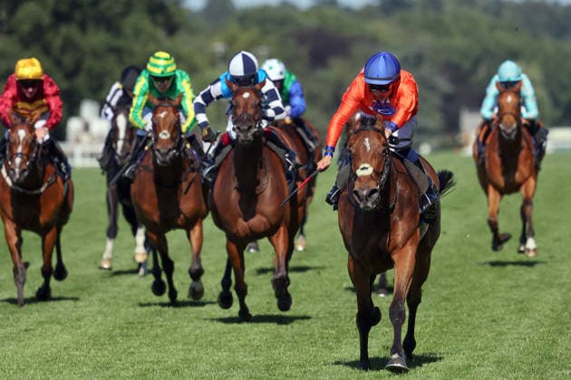 19.06.2026, Ascot, Windsor, GBR - Green Carrera with Mickael Barzalona up wins the Sandringham Stakes. Ascot racecourse. (Pferd, Jockey, Green Carrera, Barzalona, Sieg, Ziel, Zielankunft) 260619D567ROYAL_ASCOT.JPG