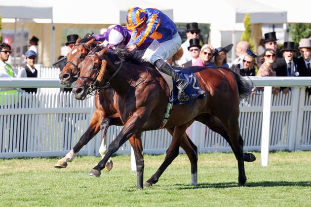 19.06.2026, Ascot, Windsor, GBR - Causeway with Ryan Moore up wins the King Edward VII Stakes. Ascot racecourse. (Pferd, Jockey, Causeway, Moore, Sieg, Ziel, Zielankunft) 260619D573ROYAL_ASCOT.JPG