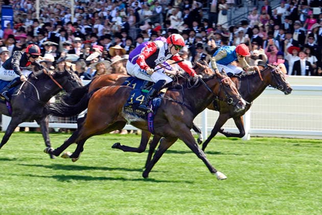 19.06.2026, Ascot, Windsor, GBR - Libertango with Billy Loughnane up wins the Albany Stakes. Ascot racecourse. (Pferd, Jockey, Libertango, Loughnane, Sieg, Ziel, Zielankunft) 260619C900ROYAL_ASCOT.JPG