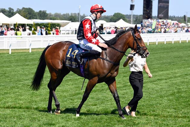 19.06.2026, Ascot, Windsor, GBR - Libertango with Billy Loughnane up after winning the Albany Stakes. Ascot racecourse. (Pferd, Jockey, Libertango, Loughnane, Sieg) 260619C904ROYAL_ASCOT.JPG