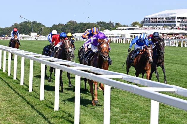 19.06.2026, Ascot, Windsor, GBR - Precise with Ryan Moore up wins the Coronation Stakes. Ascot racecourse. (Pferd, Jockey, Precise, Moore, Sieg, Ziel, Zielankunft) 260619C908ROYAL_ASCOT.JPG