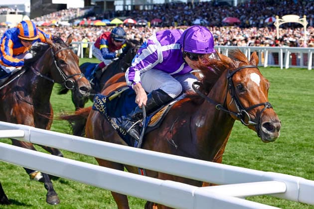 19.06.2026, Ascot, Windsor, GBR - Precise with Ryan Moore up wins the Coronation Stakes. Ascot racecourse. (Pferd, Jockey, Precise, Moore, Sieg, Ziel, Zielankunft) 260619C910ROYAL_ASCOT.JPG