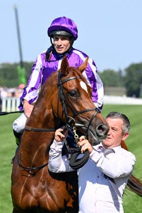 19.06.2026, Ascot, Windsor, GBR - Precise with Ryan Moore up after winning the Coronation Stakes. Ascot racecourse. (Pferd, Jockey, Precise, Moore, Sieg) 260619C911ROYAL_ASCOT.JPG