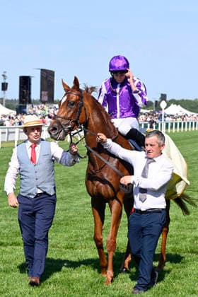 19.06.2026, Ascot, Windsor, GBR - Precise with Ryan Moore up after winning the Coronation Stakes. Ascot racecourse. (Pferd, Jockey, Precise, Moore, Sieg) 260619C912ROYAL_ASCOT.JPG