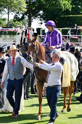19.06.2026, Ascot, Windsor, GBR - Precise with Ryan Moore up after winning the Coronation Stakes. Ascot racecourse. (Pferd, Jockey, Precise, Moore, Sieg) 260619C913ROYAL_ASCOT.JPG