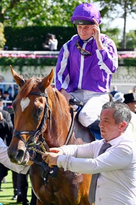 19.06.2026, Ascot, Windsor, GBR - Precise with Ryan Moore up after winning the Coronation Stakes. Ascot racecourse. (Pferd, Jockey, Precise, Moore, Sieg) 260619C914ROYAL_ASCOT.JPG