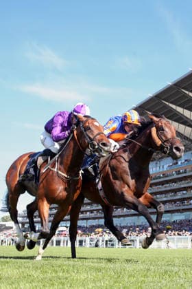 19.06.2026, Ascot, Windsor, GBR - Causeway (farside) with Ryan Moore up wins the King Edward VII Stakes. Ascot racecourse. (Pferd, Jockey, Causeway, Moore, Sieg, Ziel, Zielankunft) 260619D578ROYAL_ASCOT.JPG