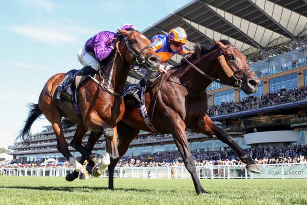 19.06.2026, Ascot, Windsor, GBR - Causeway (farside) with Ryan Moore up wins the King Edward VII Stakes. Ascot racecourse. (Pferd, Jockey, Causeway, Moore, Sieg, Ziel, Zielankunft) 260619D579ROYAL_ASCOT.JPG