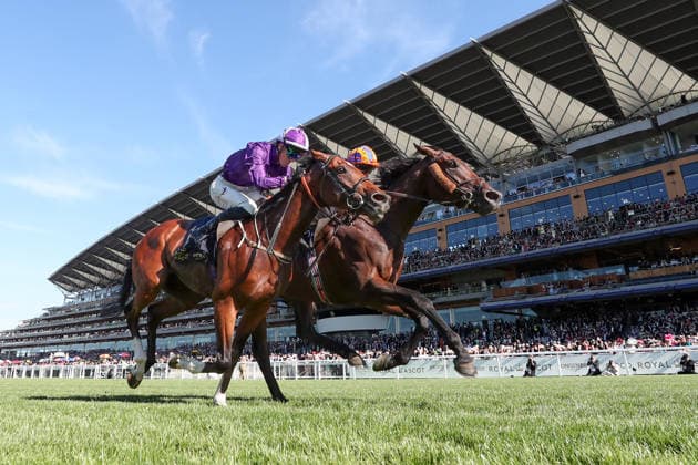 19.06.2026, Ascot, Windsor, GBR - Causeway (farside) with Ryan Moore up wins the King Edward VII Stakes. Ascot racecourse. (Pferd, Jockey, Causeway, Moore, Sieg, Ziel, Zielankunft) 260619D580ROYAL_ASCOT.JPG