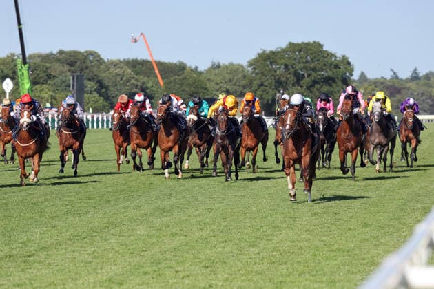 19.06.2026, Ascot, Windsor, GBR - Bacio with Juan Hernandez up wins. Ascot racecourse. (Pferd, Jockey, Bacio, Hernandez, Sieg, Ziel, Zielankunft) 260619D582ROYAL_ASCOT.JPG