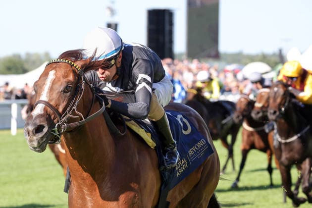 19.06.2026, Ascot, Windsor, GBR - Bacio with Juan Hernandez up wins. Ascot racecourse. (Pferd, Jockey, Bacio, Hernandez, Sieg, Ziel, Zielankunft) 260619D584ROYAL_ASCOT.JPG