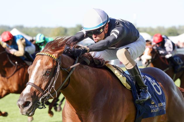 19.06.2026, Ascot, Windsor, GBR - Bacio with Juan Hernandez up wins. Ascot racecourse. (Pferd, Jockey, Bacio, Hernandez, Sieg, Ziel, Zielankunft) 260619D585ROYAL_ASCOT.JPG