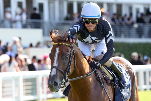 19.06.2026, Ascot, Windsor, GBR - Bacio with Juan Hernandez up after winning. Ascot racecourse. (Pferd, Jockey, Bacio, Hernandez, Sieg) 260619D586ROYAL_ASCOT.JPG