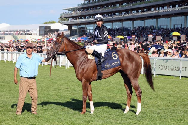19.06.2026, Ascot, Windsor, GBR - Bacio with Juan Hernandez up after winning. Ascot racecourse. (Pferd, Jockey, Bacio, Hernandez, Sieg) 260619D587ROYAL_ASCOT.JPG