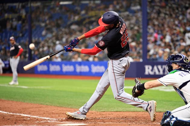 June 19, 2026, St. Petersburg, Florida, USA: Washington Nationals right fielder James Wood (29) fouls off a pitch during an MLB, Baseball Herren, USA game against the Tampa Bay Rays on June 19, 2026 at Tropicana Field. The Rays beat the Nationals 5-2. St. Petersburg USA - ZUMAh180 20260619_zsp_h180_064 Copyright: xKimxHukarix