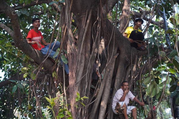 June 20, 2026, Dhaka, Dhaka, Bangladesh: Dhaka, Bangladesh, June 20, 2026: Football fans gather at the Teacher-Student Centre (TSC) of the University of Dhaka to watch the FIFA World Cup, WM, Weltmeisterschaft, Fussball match between Brazil and Haiti on a giant screen in Dhaka, Bangladesh. Thousands of supporters wearing Brazil s yellow and green colors cheered, waved flags, and celebrated throughout the match, creating a festive atmosphere at the venue. Following the game, jubilant fans took part in celebrations and victory processions, reflecting the enduring passion for football among Bangladeshi supporters. Dhaka Bangladesh - ZUMAk185 0859594396st Copyright: xRubelxKarmakerx