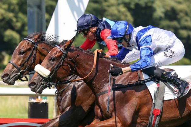 20.06.2026, Duesseldorf, Nordrhein-Westfalen, GER - Tamather (links) ist fuer Bauyrzhan Murzabayev der 1000. Sieger im Rennsattel. Galopprennbahn Duesseldorf-Grafenberg. (Pferd, Jockey, Tamather, Murzabayev, Sieg, Ziel, Zielankunft) 260620SG706DUESSELDORF.JPG