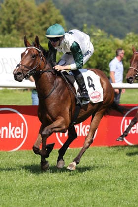 20.06.2026, Duesseldorf, Nordrhein-Westfalen, GER - Kisha mit Benjamin Marie gewinnt. Galopprennbahn Duesseldorf-Grafenberg. (Pferd, Jockey, Kisha, Marie, Sieg, Ziel, Zielankunft) 260620SG715DUESSELDORF.JPG