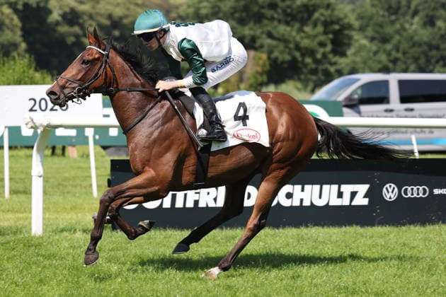 20.06.2026, Duesseldorf, Nordrhein-Westfalen, GER - Kisha mit Benjamin Marie gewinnt. Galopprennbahn Duesseldorf-Grafenberg. (Pferd, Jockey, Kisha, Marie, Sieg, Ziel, Zielankunft) 260620SG716DUESSELDORF.JPG