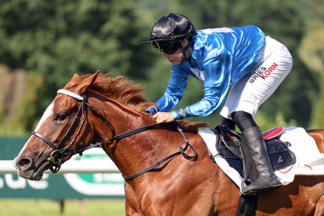 20.06.2026, Duesseldorf, Nordrhein-Westfalen, GER - Night Breath mit Sibylle Vogt gewinnt das Diana-Trial. Galopprennbahn Duesseldorf-Grafenberg. (Pferd, Jockey, Night Breath, Vogt, Sieg, Ziel, Zielankunft) 260620SG725DUESSELDORF.JPG