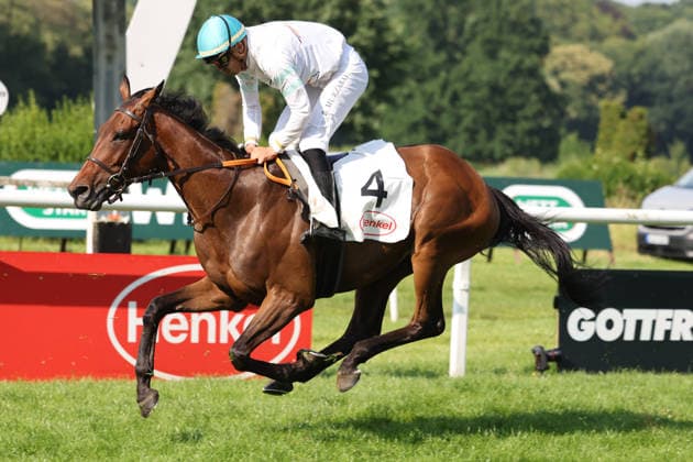 20.06.2026, Duesseldorf, Nordrhein-Westfalen, GER - Sea the Man mit Bauyrzhan Murzabayev beim Aufgalopp. Galopprennbahn Duesseldorf-Grafenberg. (Pferd, Jockey, Sea the Man, Murzabayev, Aufgalopp) 260620SG735DUESSELDORF.JPG