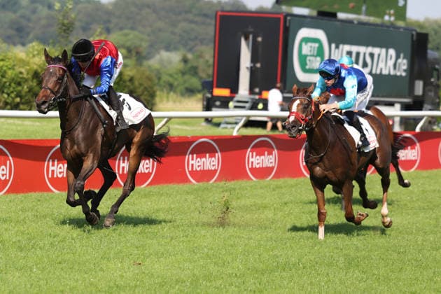 20.06.2026, Duesseldorf, Nordrhein-Westfalen, GER - Galene (links) mit Sibylle Vogt gewinnt. Galopprennbahn Duesseldorf-Grafenberg. (Pferd, Jockey, Galene, Vogt, Sieg, Ziel, Zielankunft) 260620SG736DUESSELDORF.JPG