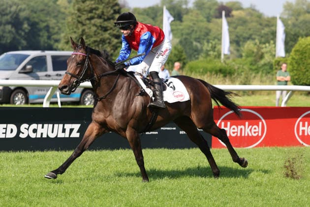 20.06.2026, Duesseldorf, Nordrhein-Westfalen, GER - Galene mit Sibylle Vogt gewinnt. Galopprennbahn Duesseldorf-Grafenberg. (Pferd, Jockey, Galene, Vogt, Sieg, Ziel, Zielankunft) 260620SG737DUESSELDORF.JPG