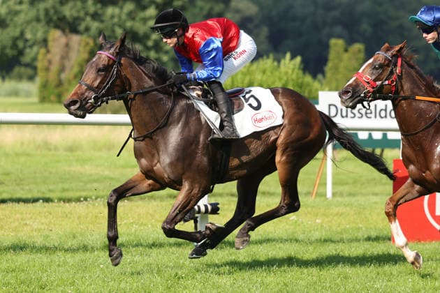 20.06.2026, Duesseldorf, Nordrhein-Westfalen, GER - Galene mit Sibylle Vogt gewinnt. Galopprennbahn Duesseldorf-Grafenberg. (Pferd, Jockey, Galene, Vogt, Sieg, Ziel, Zielankunft) 260620SG738DUESSELDORF.JPG