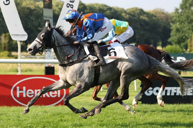 20.06.2026, Duesseldorf, Nordrhein-Westfalen, GER - North Fire mit Sibylle Vogt gewinnt. Galopprennbahn Duesseldorf-Grafenberg. (Pferd, Jockey, North Fire, Vogt, Sieg, Ziel, Zielankunft) 260620SG748DUESSELDORF.JPG
