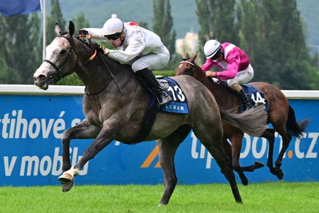 Ceske derby, rovinovy dostih (2400 m, trileti hrebci a klisny, dotace 2,000.000 Kc) - druhy zavod Klasicke trojkoruny, 21. cervna 2026, Praha. Vitez Petr Foret na koni Portal. (CTKxPhoto RomanxVondrous) CTKPhotoP2026062104806  CTKPhotoP2026062104806