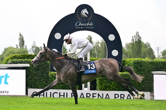 Sport Bilder des Tages Ceske derby, rovinovy dostih (2400 m, trileti hrebci a klisny, dotace 2,000.000 Kc) - druhy zavod Klasicke trojkoruny, 21. cervna 2026, Praha. Vitez Petr Foret na koni Portal. (CTKxPhoto RomanxVondrous) CTKPhotoP2026062104670  CTKPhotoP2026062104670