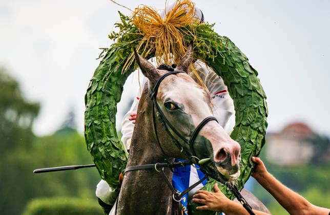 Sport Bilder des Tages Ceske derby, rovinovy dostih (2400 m, trileti hrebci a klisny, dotace 2,000.000 Kc) - druhy zavod Klasicke trojkoruny, 21. cervna 2026, Praha. Vitez Petr Foret na koni Portal pri dekorovani. (CTKxPhoto RomanxVondrous) CTKPhotoP2026062105342  CTKPhotoP2026062105342