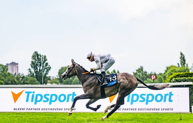 Ceske derby, rovinovy dostih (2400 m, trileti hrebci a klisny, dotace 2,000.000 Kc) - druhy zavod Klasicke trojkoruny, 21. cervna 2026, Praha. Vitez Petr Foret na koni Portal. (CTKxPhoto RomanxVondrous) CTKPhotoP2026062105454  CTKPhotoP2026062105454