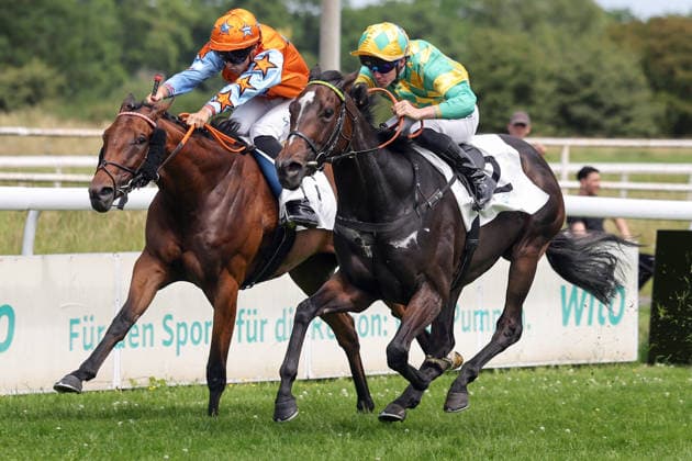 21.06.2026, Dortmund, Nordrhein-Westfalen, GER - Arabia (rechts) mit Benjamin Marie gewinnt. Galopprennbahn Dortmund-Wambel. (Pferd, Jockey, Arabia, Marie, Sieg, Ziel, Zielankunft) 260621SG907DORTMUND.JPG *** June 21, 2026, Dortmund, North Rhine-Westphalia, GER
