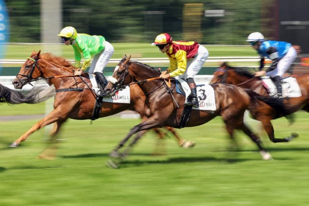 21.06.2026, Dortmund, Nordrhein-Westfalen, GER - Dynamik: Pferde und Jockeys im Rennen. Galopprennbahn Dortmund-Wambel. (Pferde, Jockeys, Dynamik, dynamisch, Tempo, schnell, Schnelligkeit, Galopp, Galopprennsport, Pferderennsport, Pferderennen, Galopprennen, gezoomt, verwischt) 260621SG910DORTMUND.JPG *** June 21, 2026, Dortmund, North Rhine-Westphalia, GER