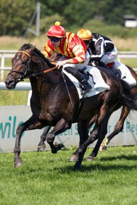 21.06.2026, Dortmund, Nordrhein-Westfalen, GER - Best Lightning mit Benjamin Marie gewinnt den 37. Preis der Wirtschaft. Galopprennbahn Dortmund-Wambel. (Pferd, Jockey, Best Lightning, Marie, Sieg, Ziel, Zielankunft) 260621SG920DORTMUND.JPG *** June 21, 2026, Dortmund, North Rhine-Westphalia, GER Best Lightning, ridden by Benjamin Marie, wins the 37th Preis der Wirtschaft at the Dortmund-Wambel Racetrack Horse, jockey, Best Lightning, Marie, victory, finish line, finish 260621SG920DORTMUND JPG,detected_source_language