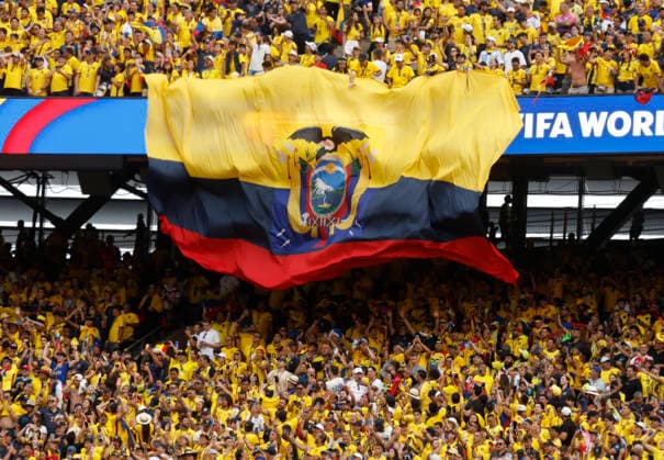 A large Ecuador flag is unfurled as fans celebrate after Ecuador beat Germany 2-1 in a FIFA World Cup, WM, Weltmeisterschaft, Fussball match at New York New Jersey Stadium in East Rutherford, New Jersey, on Thursday, June 25, 2026. With the win Ecuador will advance to the next round of competition.  NYP202606259230 JOHNxANGELILLO