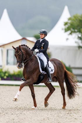 HAGEN a.T.W. - CDIO Nations Cup 2026, HAGEN a.T.W. - CDIO Nations Cup 2026 Covalliero Dressage Days 2026 WERTH Isabell (GER), Viva Gold OLD CDI4* - Grand Prix LetÂ sGet Hooved Prize Hagen a.T.W., Hof Kasselmann 02. July 2026 - *** HAGEN a T W CDIO Nations Cup 2026, HAGEN a T W CDIO Nations Cup 2026 Covalliero Dressage Days 2026 WERTH Isabell GER, Viva Gold OLD CDI4* Grand Prix Let’s Get Hooved Prize Hagen a T W, Hof Kasselmann July 2, 2026