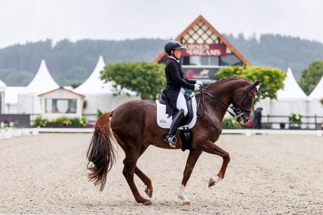 HAGEN a.T.W. - CDIO Nations Cup 2026, HAGEN a.T.W. - CDIO Nations Cup 2026 Covalliero Dressage Days 2026 WERTH Isabell (GER), Viva Gold OLD CDI4* - Grand Prix LetÂ sGet Hooved Prize Hagen a.T.W., Hof Kasselmann 02. July 2026 - *** HAGEN a T W CDIO Nations Cup 2026, HAGEN a T W CDIO Nations Cup 2026 Covalliero Dressage Days 2026 WERTH Isabell GER, Viva Gold OLD CDI4* Grand Prix Let’s Get Hooved Prize Hagen a T W, Hof Kasselmann July 2, 2026