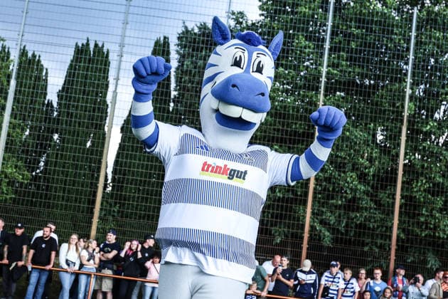 Fussball, 3.Liga Saison 2026 2027 Testspiel TuS Viktoria Buchholz - MSV Duisburg 02.07.2026, Karl-Dölzig Platz Maskottchen Ennatz Duisburg Karl-Dölzig Platz Nordrhein-Westfalen Deutschland *** Sports, Soccer, 3rd Division, 2026–2027 Season, Friendly Match: TuS Viktoria Buchholz vs. MSV Duisburg, July 2, 2026, Karl Dölzig Stadium, Mascot: Ennatz, Duisburg, Karl Dölzig Stadium, North Rhine-Westphalia, Germany