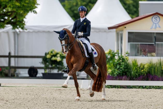 HAGEN a.T.W. - CDIO Nations Cup 2026, HAGEN a.T.W. - CDIO Nations Cup 2026 Covalliero Dressage Days 2026 MATTHEW William (AUS), Faye 43 CDI3* Grand Prix Hagen a.T.W., Hof Kasselmann 03. July 2026 - *** HAGEN a T W CDIO Nations Cup 2026, HAGEN a T W CDIO Nations Cup 2026 Covalliero Dressage Days 2026 MATTHEW William AUS, Faye 43 CDI3* Grand Prix Hagen a T W, Hof Kasselmann July 3, 2026