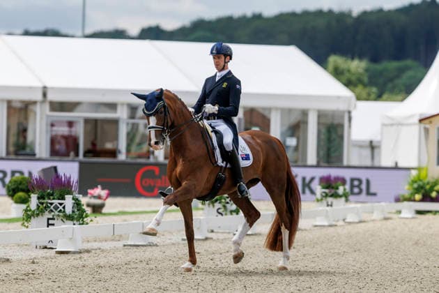 HAGEN a.T.W. - CDIO Nations Cup 2026, HAGEN a.T.W. - CDIO Nations Cup 2026 Covalliero Dressage Days 2026 MATTHEW William (AUS), Faye 43 CDI3* Grand Prix Hagen a.T.W., Hof Kasselmann 03. July 2026 - *** HAGEN a T W CDIO Nations Cup 2026, HAGEN a T W CDIO Nations Cup 2026 Covalliero Dressage Days 2026 MATTHEW William AUS, Faye 43 CDI3* Grand Prix Hagen a T W, Hof Kasselmann July 3, 2026