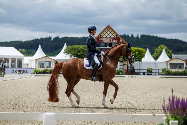 HAGEN a.T.W. - CDIO Nations Cup 2026, HAGEN a.T.W. - CDIO Nations Cup 2026 Covalliero Dressage Days 2026 MATTHEW William (AUS), Faye 43 CDI3* Grand Prix Hagen a.T.W., Hof Kasselmann 03. July 2026 - *** HAGEN a T W CDIO Nations Cup 2026, HAGEN a T W CDIO Nations Cup 2026 Covalliero Dressage Days 2026 MATTHEW William AUS, Faye 43 CDI3* Grand Prix Hagen a T W, Hof Kasselmann July 3, 2026