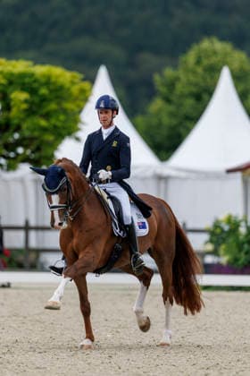 HAGEN a.T.W. - CDIO Nations Cup 2026, HAGEN a.T.W. - CDIO Nations Cup 2026 Covalliero Dressage Days 2026 MATTHEW William (AUS), Faye 43 CDI3* Grand Prix Hagen a.T.W., Hof Kasselmann 03. July 2026 - *** HAGEN a T W CDIO Nations Cup 2026, HAGEN a T W CDIO Nations Cup 2026 Covalliero Dressage Days 2026 MATTHEW William AUS, Faye 43 CDI3* Grand Prix Hagen a T W, Hof Kasselmann July 3, 2026