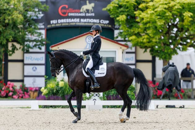 HAGEN a.T.W. - CDIO Nations Cup 2026, HAGEN a.T.W. - CDIO Nations Cup 2026 Covalliero Dressage Days 2026 MUELLER Lisa (GER), Gut Wettlkam s Zonik Hit OLD CDI3* Grand Prix Hagen a.T.W., Hof Kasselmann 03. July 2026 - *** HAGEN a T W CDIO Nations Cup 2026, HAGEN a T W CDIO Nations Cup 2026 Covalliero Dressage Days 2026 Lisa MUELLER (GER), Gut Wettlkam’s Zonik Hit OLD CDI3* Grand Prix Hagen a T W, Hof Kasselmann, July 3, 2026
