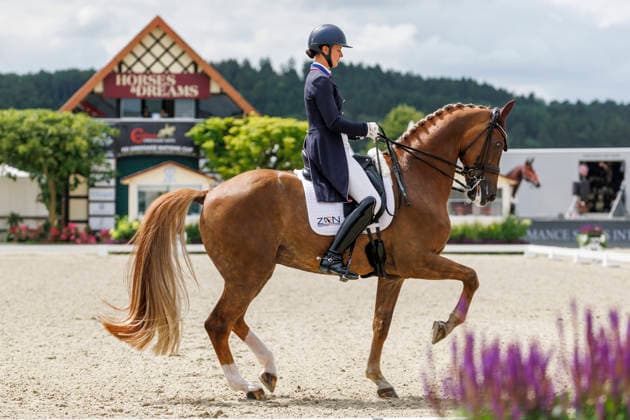 HAGEN a.T.W. - CDIO Nations Cup 2026, HAGEN a.T.W. - CDIO Nations Cup 2026 Covalliero Dressage Days 2026 LYLE Adrienne (USA), Helix CDI3* Grand Prix Hagen a.T.W., Hof Kasselmann 03. July 2026 - *** HAGEN a T W CDIO Nations Cup 2026, HAGEN a T W CDIO Nations Cup 2026 Covalliero Dressage Days 2026 LYLE Adrienne USA, Helix CDI3* Grand Prix Hagen a T W, Hof Kasselmann July 3, 2026