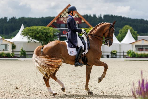 HAGEN a.T.W. - CDIO Nations Cup 2026, HAGEN a.T.W. - CDIO Nations Cup 2026 Covalliero Dressage Days 2026 LYLE Adrienne (USA), Helix CDI3* Grand Prix Hagen a.T.W., Hof Kasselmann 03. July 2026 - *** HAGEN a T W CDIO Nations Cup 2026, HAGEN a T W CDIO Nations Cup 2026 Covalliero Dressage Days 2026 LYLE Adrienne USA, Helix CDI3* Grand Prix Hagen a T W, Hof Kasselmann July 3, 2026
