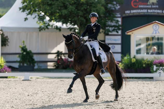 HAGEN a.T.W. - CDIO Nations Cup 2026, HAGEN a.T.W. - CDIO Nations Cup 2026 Covalliero Dressage Days 2026 WANDRES Frederic (GER), Bluetooth OLD CDIO Nations Cup Nationen Preis - Grand Prix de Dressage Meggle Prize Hagen a.T.W., Hof Kasselmann 03. July 2026 - *** HAGEN a T W CDIO Nations Cup 2026, HAGEN a T W CDIO Nations Cup 2026 Covalliero Dressage Days 2026 WANDRES Frederic GER, Bluetooth OLD CDIO Nations Cup Grand Prix de Dressage Meggle Prize Hagen a T W, Hof Kasselmann July 3, 2026