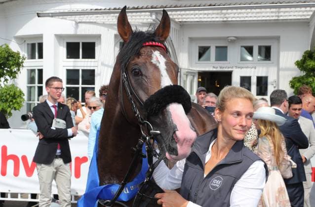 05.07.2026, GER,Reitsport, Rennen 8 IDEE 157. Deutsches Derby , Derby Meeting Hamburg - Galopprennen, Hamburger Renn-Club e.V., Galopprennbahn Hamburg Horn, Hamburg Derbysieger IDEE 157. Deutsches Derby Hengst Dardanos ( 15) vom Stall Bergholz *** July 5, 2026, GER, Equestrian Sports, Race 8 IDEE 157 German Derby, Derby Meeting Hamburg Horse Race, Hamburger Renn Club e.V., Hamburg Horn Racetrack, Hamburg Derby Winner IDEE 157 German Derby, Stallion Dardanos 15 from Bergholz Stables nordphotoxGmbHx xTauchnitz nph00059