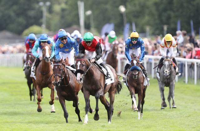 05.07.2026, GER,Reitsport, Rennen 8 IDEE 157. Deutsches Derby , Derby Meeting Hamburg - Galopprennen, Hamburger Renn-Club e.V., Galopprennbahn Hamburg Horn, Hamburg Dardanos ( 15) geritten von Wladimir Panov gewinnt das Rennen 8 IDEE 157. Deutsches Derby vor Chiefland (IRE) ( 11) geritten von Cieren Fallon nicht im Bild und links Salitos (IRE) ( 03) geritten von Bauyrzhan Murzabayev *** July 5, 2026, GER, Equestrian Sports, Race 8 IDEE 157 German Derby, Derby Meeting Hamburg Horse Race, Hamburger Renn Club e.V., Hamburg Horn Racetrack, Hamburg’s Dardanos 15, ridden by Wladimir Panov, wins Race 8 IDEE 157 German Derby ahead of Chiefland IRE 11, ridden by Cieren Fallon (not pictured), and on the left, Salitos IRE 03, ridden by Bauyrzhan Murzabayev nordphotoxGmbHx xTauchnitz nph00059
